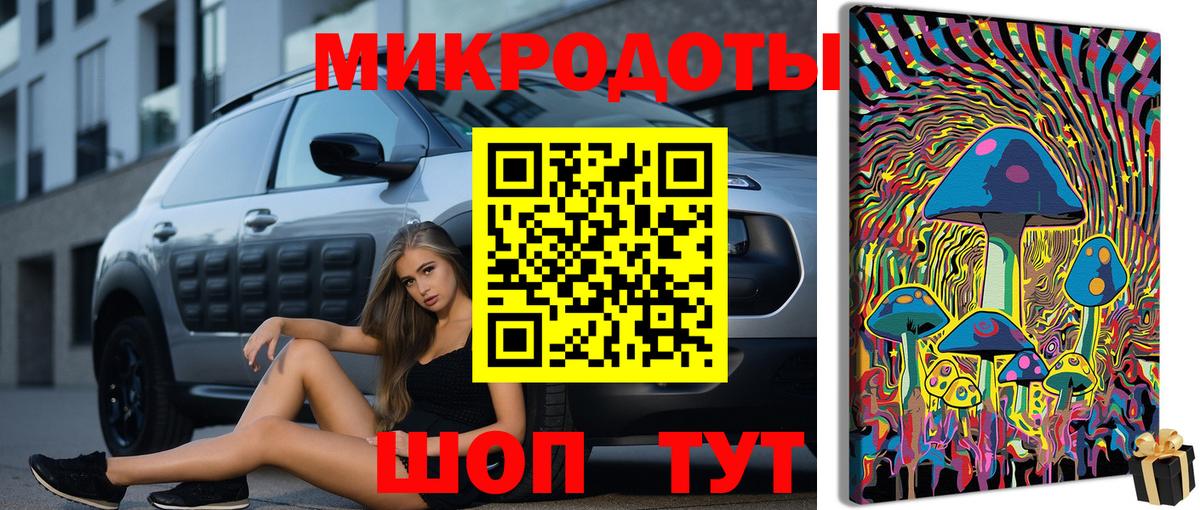 наркота  Вход с VPN  Тихорецк  Галлюциногенные грибы Psilocybe 